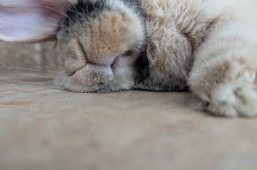 So tired after helping out away the Xmas stuff