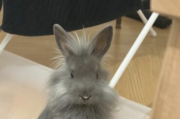 No words, just cuteness