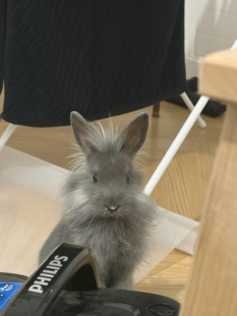 No words, just cuteness