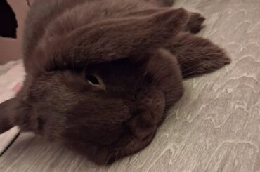 I ♡ her lil flops!