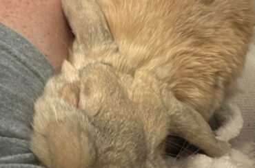 Is this not the smooshiest smoosh you’ve ever seen?