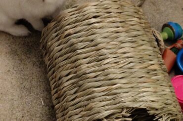 This tunnel was brand new 5 minutes ago...