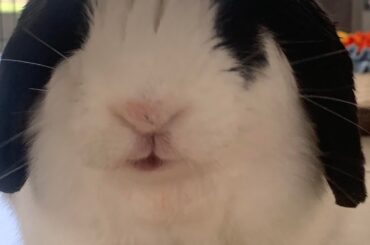 I think she likes watermelon…