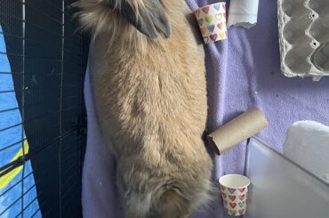 The ultimate stretch