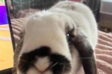 my photogenic baby💗