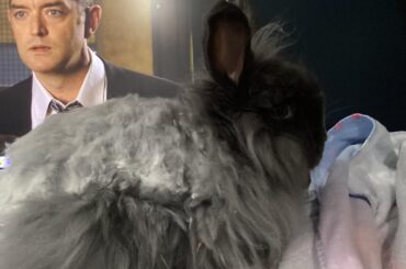 Found this dude outside.