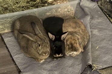 Who are they summoning? I’m scared…