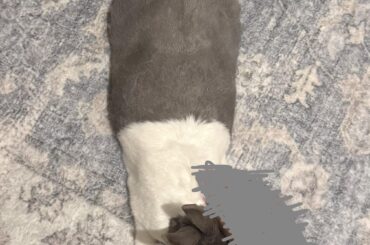 Thought you guys would like this pic of my boy