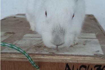 Mr.Peter seems to like playing in the sand, is that good?