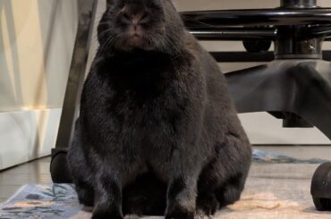 This little boy doesn't know how to read or write 😢