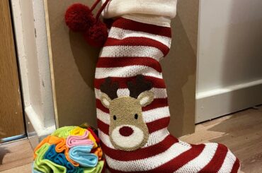 bunny santa came early this year