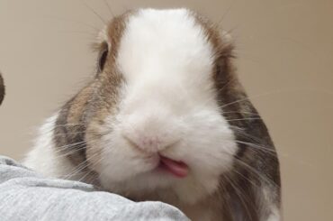 Not a single thought there