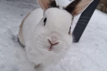 She love's the white snow!