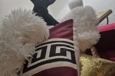 Why does he prefer a pile of cushions instead of the available space on the couch?