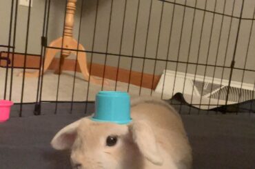 stacking cups but make it hat