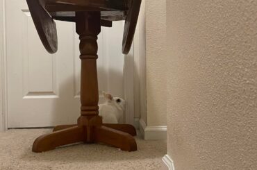 You guys asked for more photos…