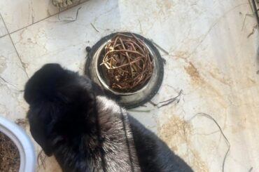 Um sir? I literally just gave you fresh, clean water??