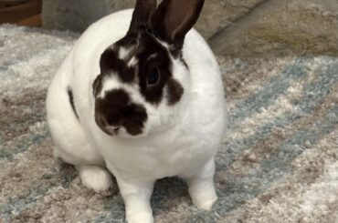 Don’t be mad cause ur not this cute!