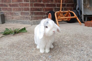 Happy Friday, love Ghost ❤️