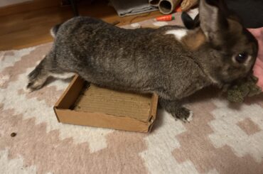 How to make your life 100x harder, Chainsaw edition: