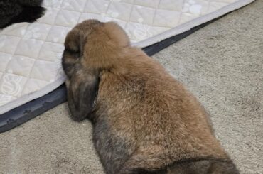 Correct me if I am wrong