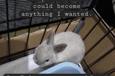 Meme about my girl Selune.