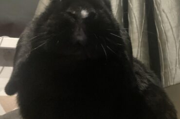 i wonder what goes on inside that head