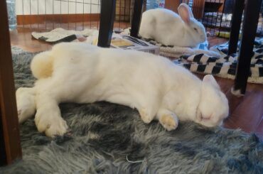 I think we can all agree, it's tough to be Pink