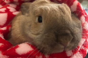 We were also betrayed today