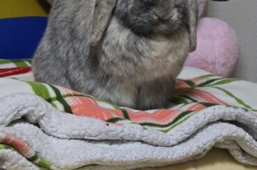 Bonding question!!!!