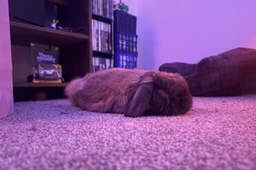 Wanted to share this dude