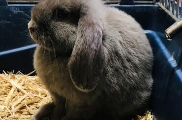 Look at this cutie 🥰