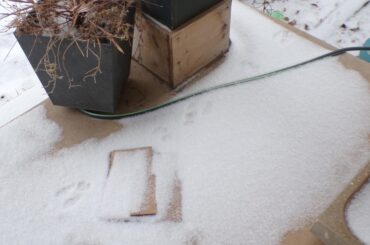 He saw me take the picture hes after me now