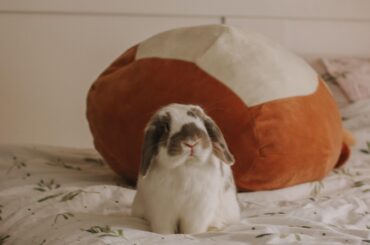 how to deal with grief