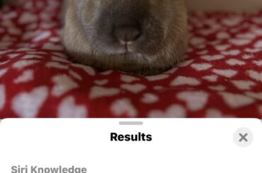 One of these is not like the other.