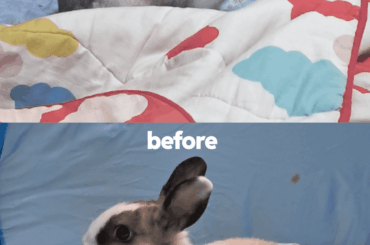 the color change in a few months is crazy