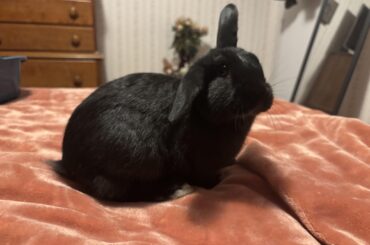 should i be concerned