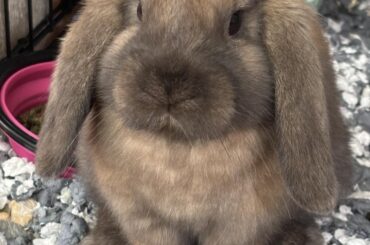 She’s so perfect😍