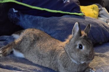 When Mom is having a serious talk with you.