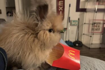 The side eye judgement