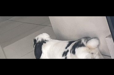 Advice on a dirty bum?