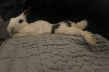 missing my baby lots; tips on coping?