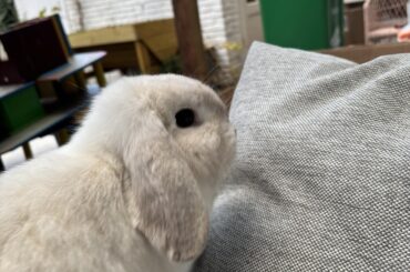 My lil bun bun turned one🥳