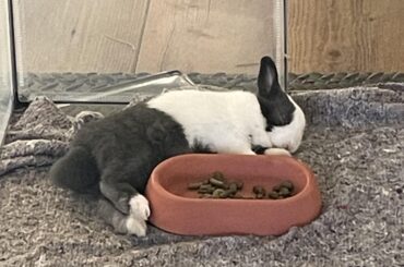 Need advice with bonding