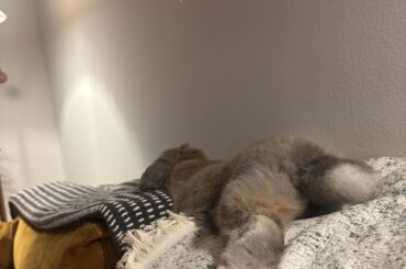 Pause.. for now, it won't last I know it 😅