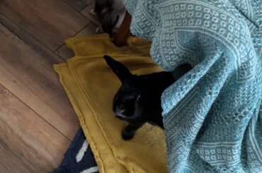 Are you heading to the kitchen by any chance?