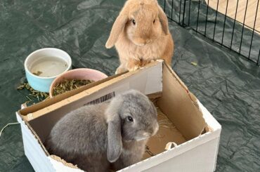 Brother and sister enjoying life