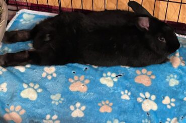 Sometimes, when I see this bun, I think, “You, Sir, are a Unit!”