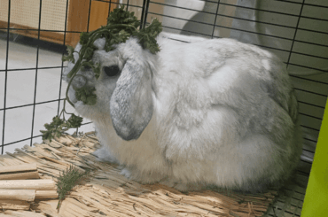 Muther... Could you not....