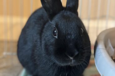 I miss him so much 😢